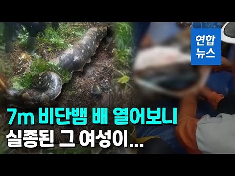 배불뚝이 7ｍ 비단뱀…배 갈랐더니 실종된 50대 여성이 / 연합뉴스 (Yonhapnews)
