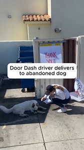 Door dash driver takes home abandoned dog | Spilled Milk Society