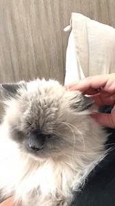 Kat gives and receives the zen. | Seth Andrews