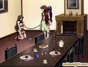 Bondage anime with gagging gets vibrator in her ass and pussy, HudsonS