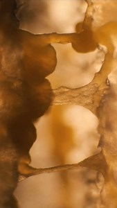 3.8K views · 26 reactions | Inanimate to animate with @jipmus | Max Cooper | Facebook