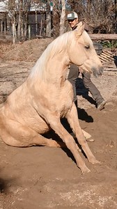 234K views · 4K reactions | Savidurias que valen horo𢡊鸞﫡...