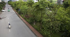 Những dải phân cách xanh mướt tỏa bóng mát trên đường Hà Nội