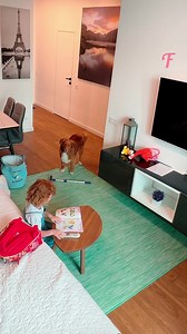 56K views · 238 reactions | Une fille et son chien fidèle se lient pour faire leurs devoirs | Fabiosa France | Facebook