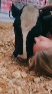 17K views · 1.2K reactions | Oh, Tay! | Iowa Farm Sanctuary | Facebook