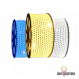 [Hot Item] Decorative Single RGB Color Chasing LED Strip Lighting 220V 110V 240V 50cm Cutting Waterproof or Non-Waterproof