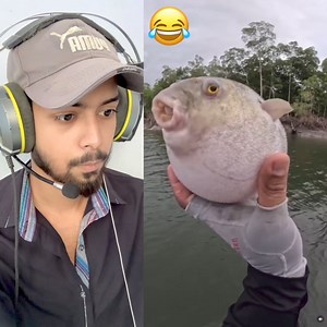 Lets turn around 😅 | HARRY BHAI