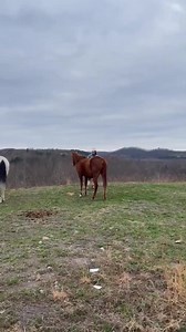 2.5M views · 5.4K reactions | While resource intervention and...