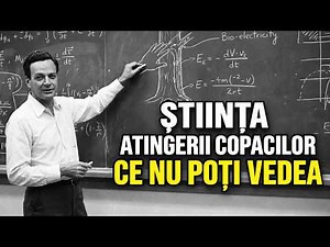 De ce ar trebui să atingi un copac în fiecare zi. Știința despre care nimeni nu vorbește