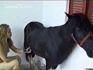 Never before seen beastiality fan giving a blowjob to a mini horse