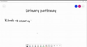 SOLVED:Select all that apply: The mother asks what a voiding cystourethrogram (VCUG) is and why it is being ordered. Choose which of the following statements are correct. A. It is an x-ray of the child's bladder and lower urinary tract. B. A tube or catheter will be inserted into the child's penis. C. It is a tube or catheter will be inserted up into your child's kidneys. D. It has radioactive dye that will be instilled into the child's penis through a tube. E. The child may cry through the enti