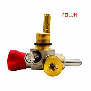 [Hot Item] CNG Vehicle Solenoid Cylinder Valve for CNG Truck 24V with Flow Limiter CNG Vehicle Fuel System Kit