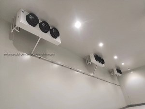 [Hot Item] Walk in Cooler Refrigeration Cold Storage Freezer Cold Room