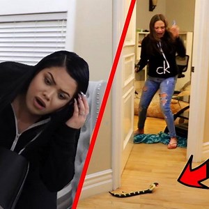 1.1M views · 3.7K reactions | EPIC Snake/Cockroach PRANK On Friends And Family!  | Karina Garcia | Facebook