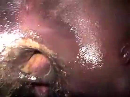 ebonys homemade gaping shitty ass fuck