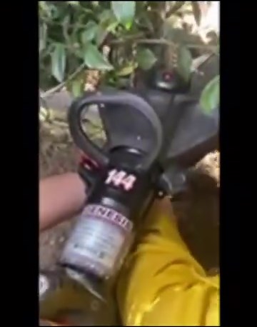 5.8K views · 76 reactions | ANIMAL RESCUE  #LACoFD Engine 144 in Westlake helped this sweet Frenchie out of a tight situation on Christmas Day. No injuries to the Frenchie, just a bruised ego. Thanks to Captain Pfeiffer, FFS Boyce, FF Brenner and FF Lossi. #lacofd #jawsoflife #frenchie | Los Angeles County Fire Department | Facebook