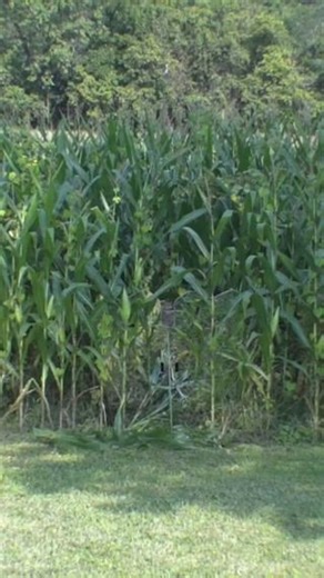 4.2K views · 29 reactions | Blend in to any terrain!  #deerhunting #hunting #ghostblind #ghostblindnation | GhostBlind | Facebook