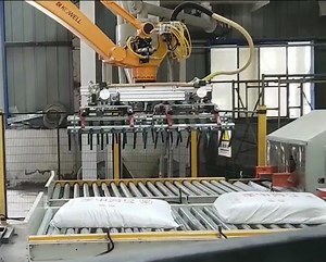 [Hot Item] Palletizer Robot with Advanced Gripper Technology for Seamless Palletizing