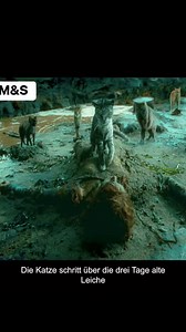 70K views · 714 reactions | Der Film heißt cat Woman | Movie scenes | Facebook