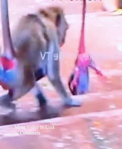 20K views · 790 reactions | Breaking heart poor baby fall so high while mum jumps on step | Kosol Page | Facebook