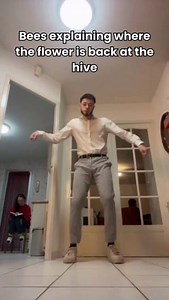 Did you know bees have their own language? It might not involve spoken words, but their waggle dance is a fascinating way they communicate the location of food sources to their hivemates! Here's how it works: Waggle Dance Pattern: The bee performs a figure-eight shaped dance with two key parts: a waggle run and a return run. Direction: The direction of the waggle run relative to the hive indicates the direction of the food source relative to the sun. Amazingly, they even account for the sun's mo