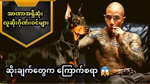 ကမ္ဘာပေါ်က အာဏာအရှိဆုံးသော လူဆိုးဂိုဏ်းဝင်များ | BUN channel