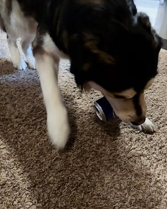 Rob Russell on Reels