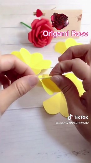 Fold at will on TikTok