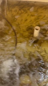 Stone Crab Claws fresh off the Boat!!! | Boca Coast | Facebook