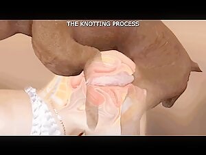 An Introduction to Sex with Dogs, The Ultimate Guide for Women (2022)