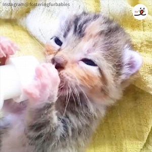 Hold me carefully with both of your hands💞 | PECO