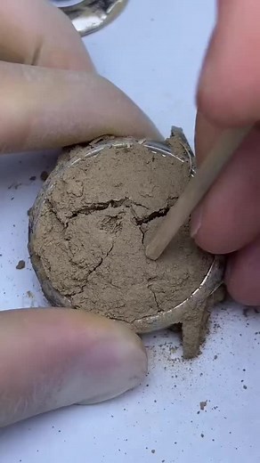 #Craftsman #watchmaker #nomos #watchmaking #watch #watchrepair