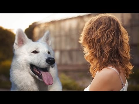 Woman had sex with her dog