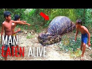 Python Attack | The Gruesome Death of Akbar Salubiro