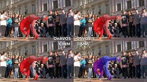 Video Object Segmentation