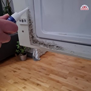 41K views · 1.2K reactions | Mould in your home? You need to act FAST… ⌛ Look no further than Mould Magic, the QUICK, EASY & HASSLE-FREE way to get rid of mould in your home! 彩  Buy now from a trusted UK business and if you’re not happy, we offer 100-day ‘no-quibble’ money-back guarantee! musthaveideas.co.uk/products/mould-magic | Must Have Ideas UK | Facebook