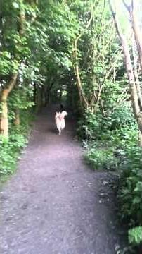 Doggers in action