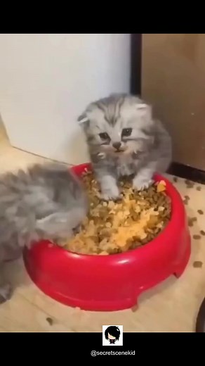 7.1K views · 67 reactions | Officially the biggest Emo page on all of...