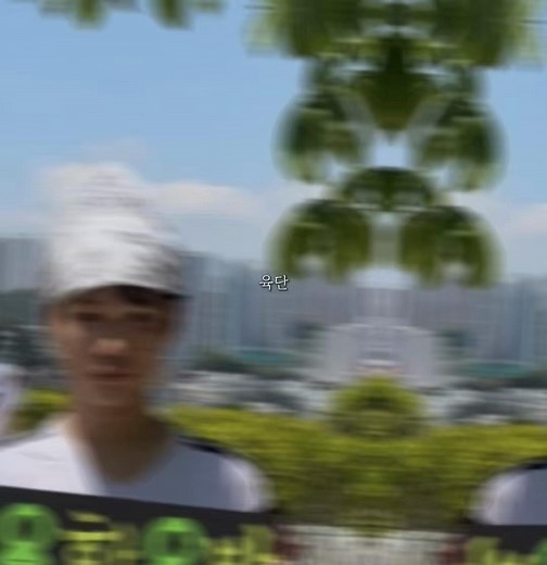 육단 역사 요약: 한국 검도·유도·바둑 육단 의미