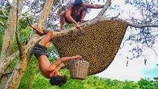 191K views · 208 reactions | Harvesting Two Giant Honey Bees On A Higher Tree | Vanuatu citizenship by investment program | Facebook