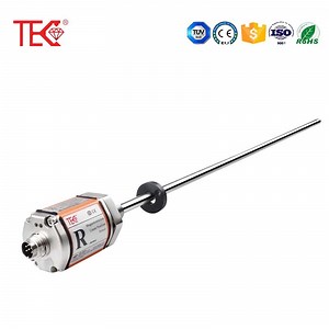 [Hot Item] 200mm Magnetostrictive Displacement Sensor Built in Magnetic Cylinder Position Sensor with CE Certification