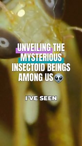 Unveiling the mysterious insectoid beings amoung us. Watch Deep Space on Gaia. | Unexplained on Gaia