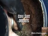 Cow Shit Dreams