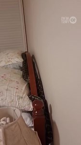 6.3K views · 22 reactions | What would *you* do if you woke up to...