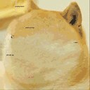 View 18 Floppa Gif Pfp