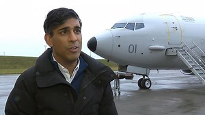 Prime Minister Rishi Sunak has said the government is taking the situation involving Michelle Mone "incredibly seriously".