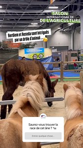 FFE - Fédération Française d'Equitation on Reels