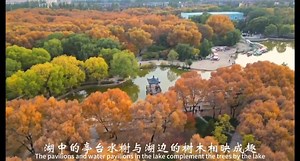 1.1M views · 10K reactions | The story of Native Datongers | IP Datong | Facebook