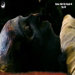 65K views · 675 reactions | Sinh Vật Huyền Bí (P2) - Bằng Chứng Về Ma Cà Rồng Đã Được Xác Thực Ngay Cả Trong Văn Tự Cổ Việt Nam 隸‍♂️Content editor: Ekip VTNT  Giọng đọc: Việt Cường ❗️Licensed content CDTeam - Vũ trụ Nguyên Thuỷ Thank for Watching! #CDTeam #VuTruNguyenThuy #KetNoiTriThuc | CD Media - Khám Phá | Facebook