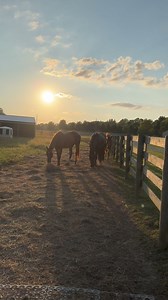 Amy Butler and Blossom Magazine on Reels | Facebook